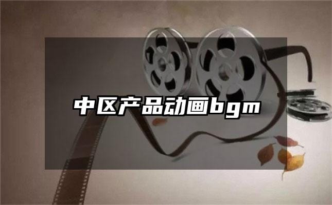 中区产品动画bgm