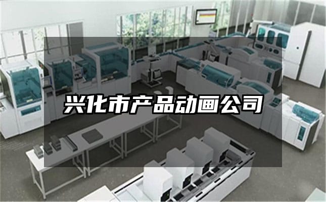 兴化市产品动画公司