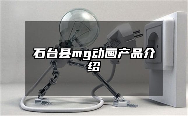 石台县mg动画产品介绍