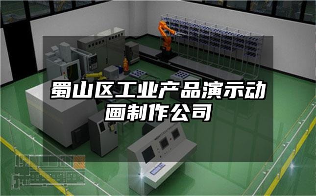 蜀山区工业产品演示动画制作公司