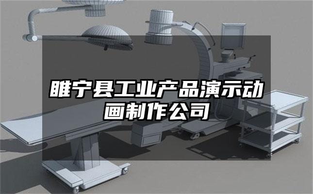 睢宁县工业产品演示动画制作公司