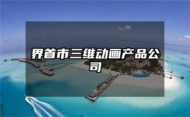 界首市三维动画产品公司