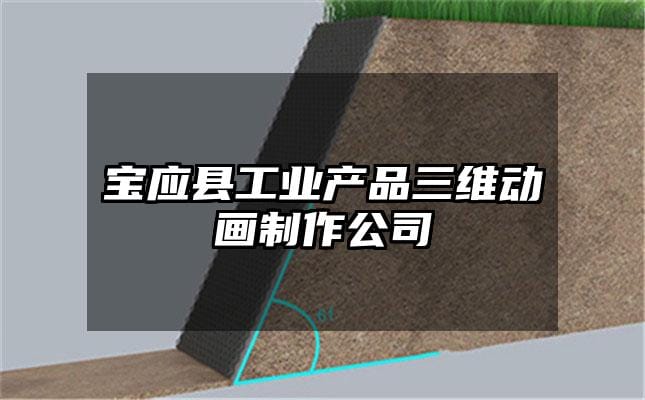 宝应县工业产品三维动画制作公司