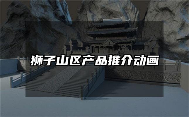 狮子山区产品推介动画