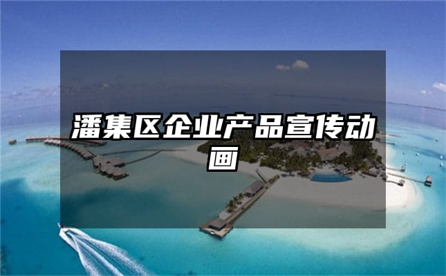 潘集区企业产品宣传动画