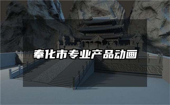 奉化市专业产品动画