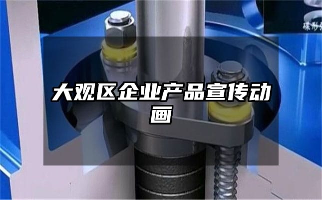 大观区企业产品宣传动画