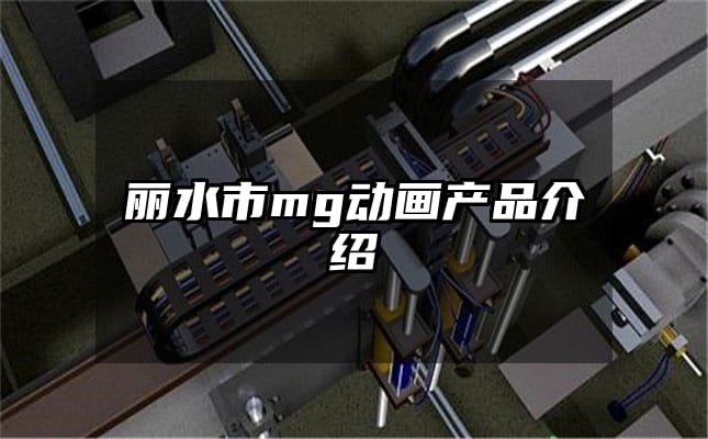 丽水市mg动画产品介绍