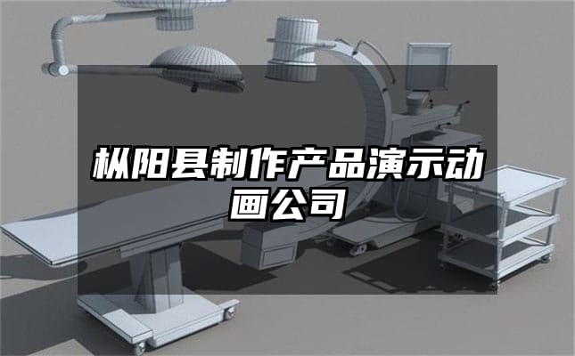 枞阳县制作产品演示动画公司