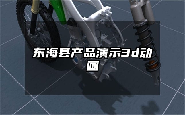 东海县产品演示3d动画