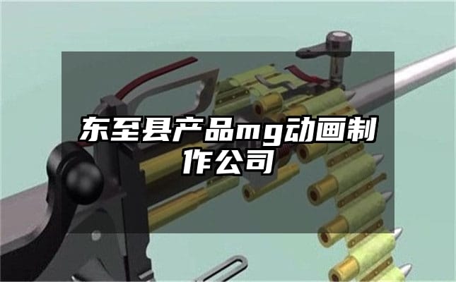 东至县产品mg动画制作公司