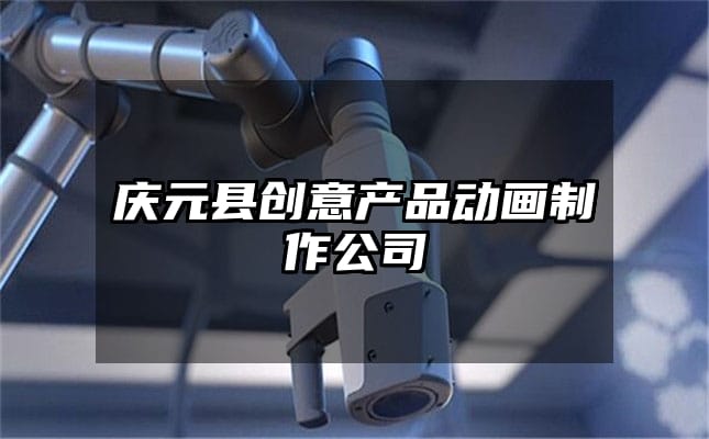 庆元县创意产品动画制作公司