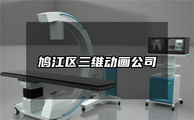 鸠江区三维动画公司